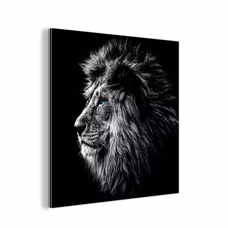 Zwart Wit - Leeuw - Kop - Dieren aluminium wit klein -3d