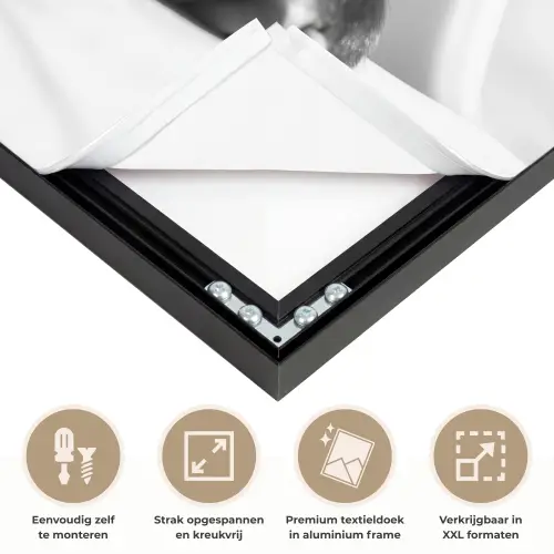 Aap - Spaghetti - Zonnebril - Zwart wit - Cool - Dier Textielframe zwart klein -USP_feed_closeupNL