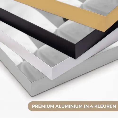 Aap - Spaghetti - Zonnebril - Zwart wit - Cool - Dier Textielframe zwart klein -USP_kleurenNL
