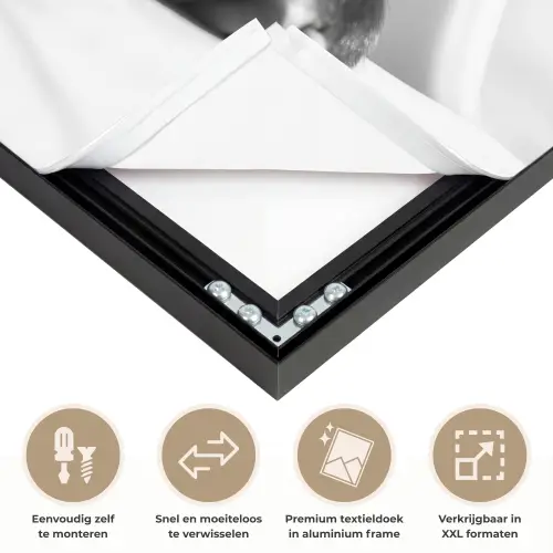 Aap - Spaghetti - Zonnebril - Zwart wit - Cool - Dier Textielframe zwart klein -USP_closeupNL