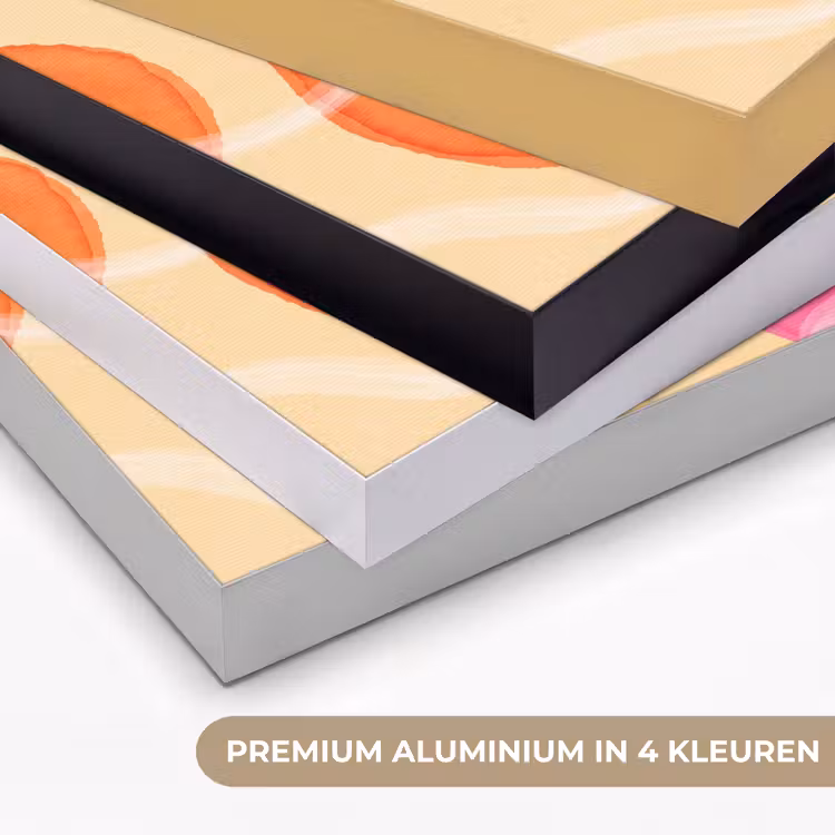 Abstract - Aquarel - Organisch - Oranje - Roze Textielframe zwart klein -USP_kleurenNL