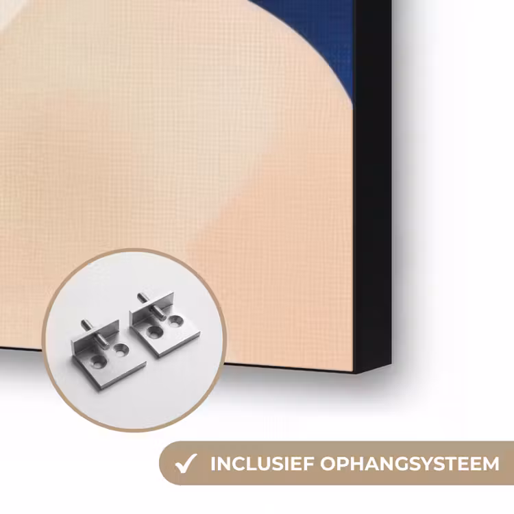 Abstract - Blauw - Roze Textielframe zwart klein -USP_ophangsysteemNL