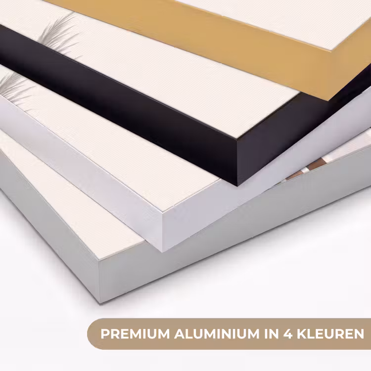 Abstract - Bogen - Plant - Boho - Beige Textielframe zwart klein -USP_kleurenNL