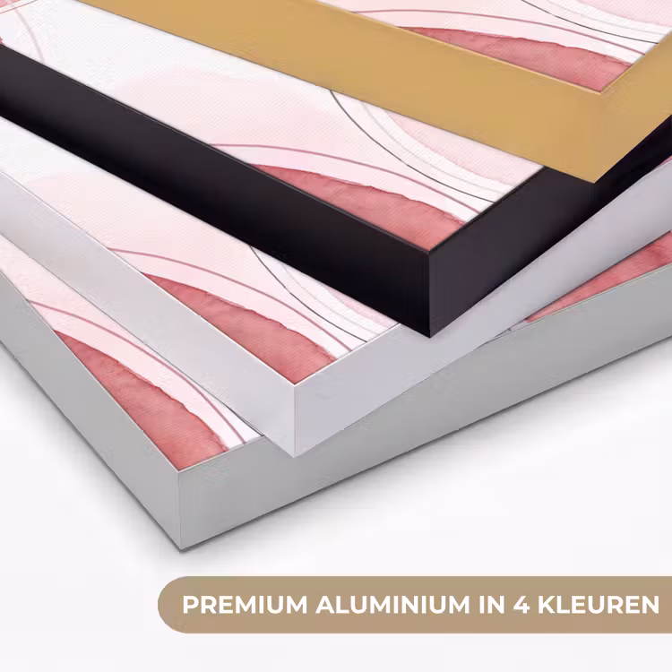 Abstract - Cirkels - Modern - Roze - Kunst Textielframe zwart klein -USP_kleurenNL