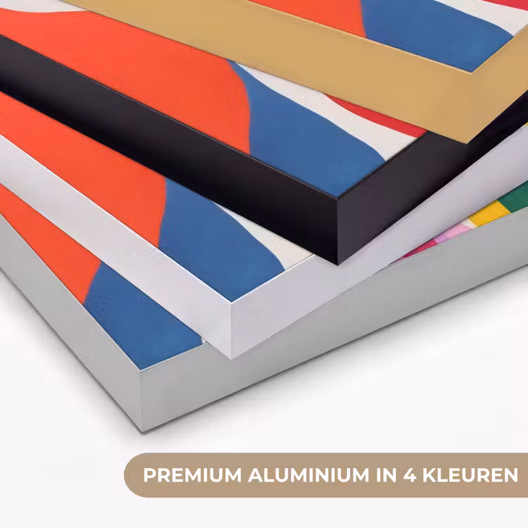 Abstract - Kleurrijk - Golven - Lijnen Textielframe zwart klein -USP_kleurenNL
