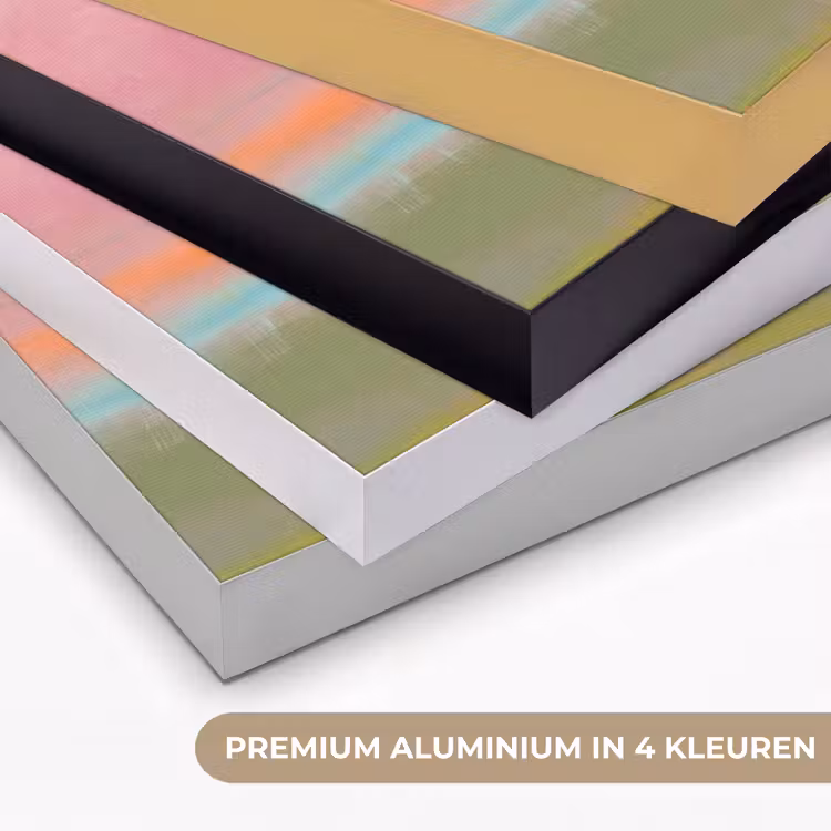 Abstract - Landschap - Modern - Roze - Oranje Textielframe zwart klein -USP_kleurenNL