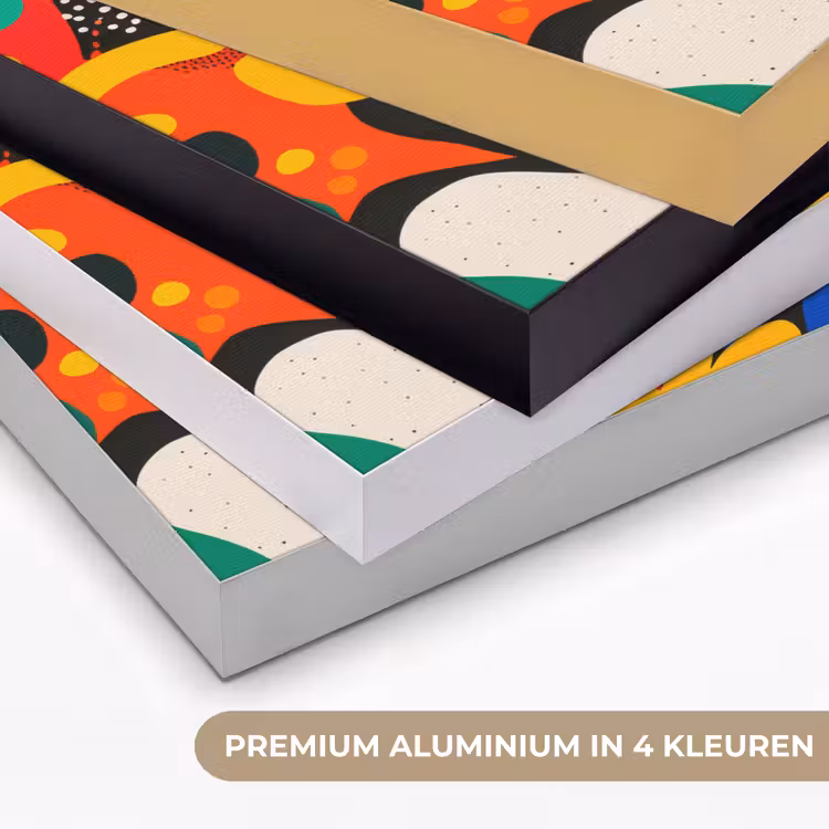 Abstract - Planten - Vormen - Kleurrijk Textielframe zwart klein -USP_kleurenNL