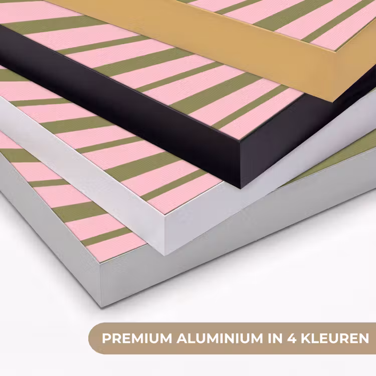 Abstract - Stralen - Grafisch - Roze - Groen Textielframe zwart klein -USP_kleurenNL