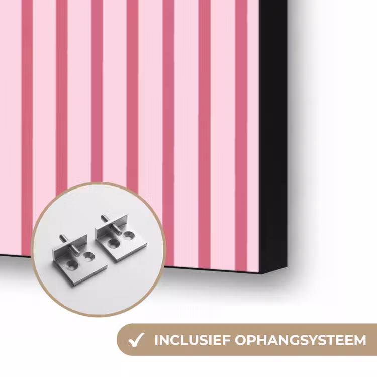 Abstract - Strepen - Ovaal - Roze - Modern Textielframe zwart klein -USP_ophangsysteemNL