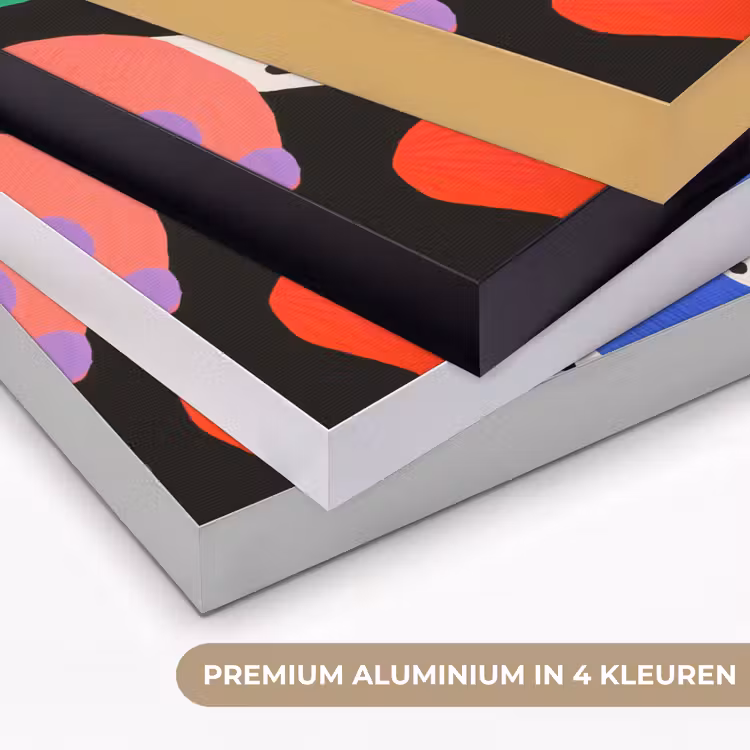 Abstract - Vormen - Kleuren - Stippen Textielframe zwart klein -USP_kleurenNL