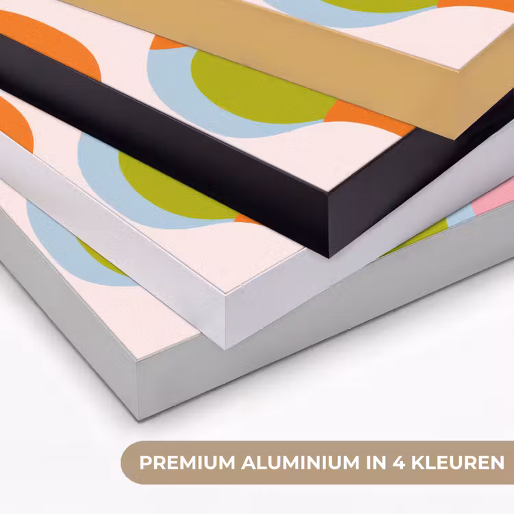 Abstract - Vormen - Roze Textielframe zwart klein -USP_kleurenNL