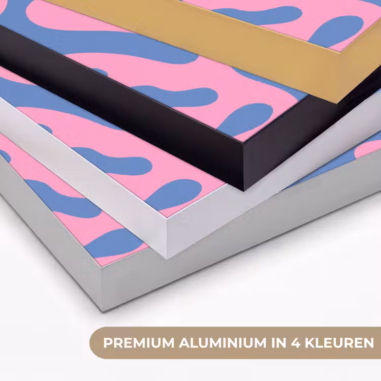 Abstract - Vormen - Roze - Blauw Textielframe zwart klein -USP_kleurenNL