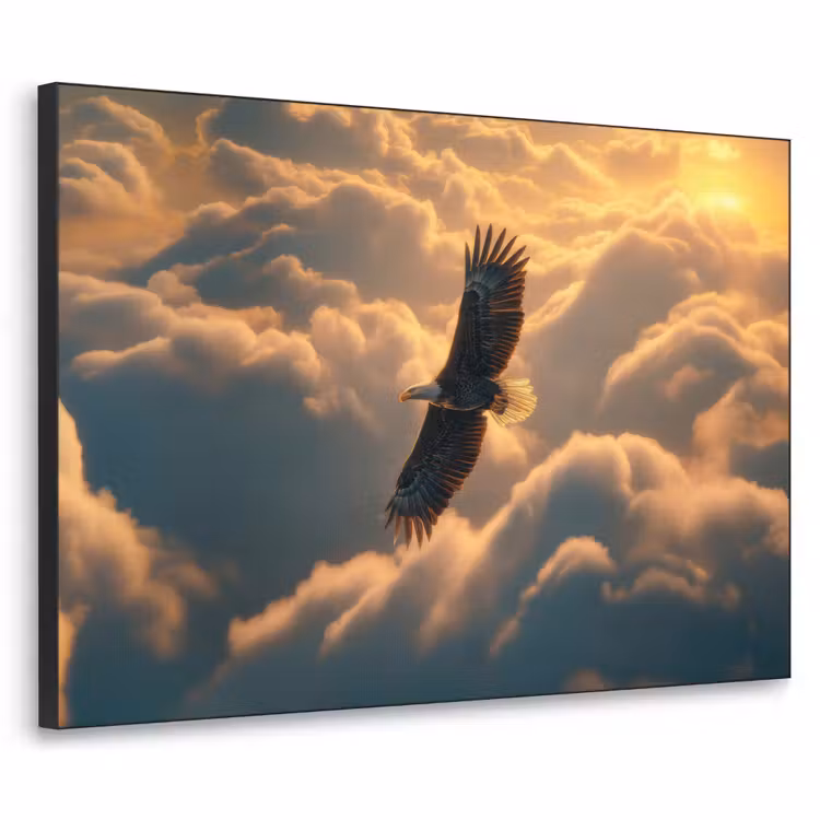 Adelaar - Wolken - Zon Textielframe zwart klein -3d