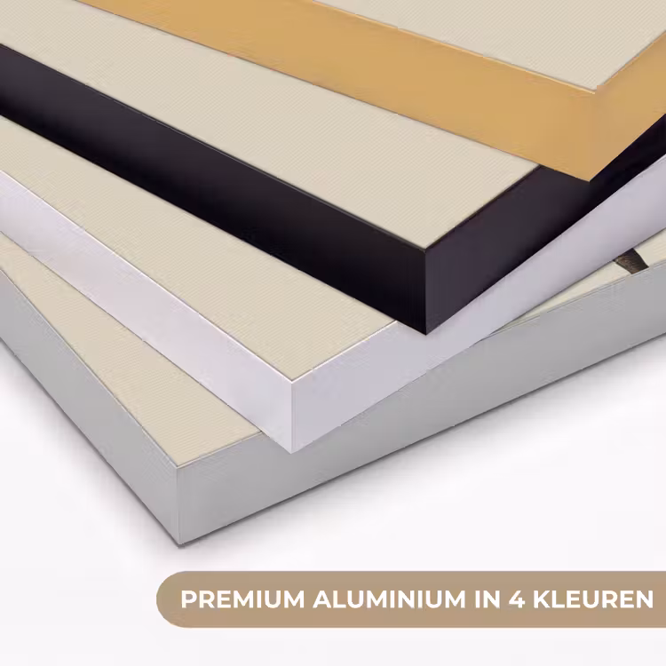 Agaveplant - Symmetrisch - Groen Textielframe zwart klein -USP_kleurenNL