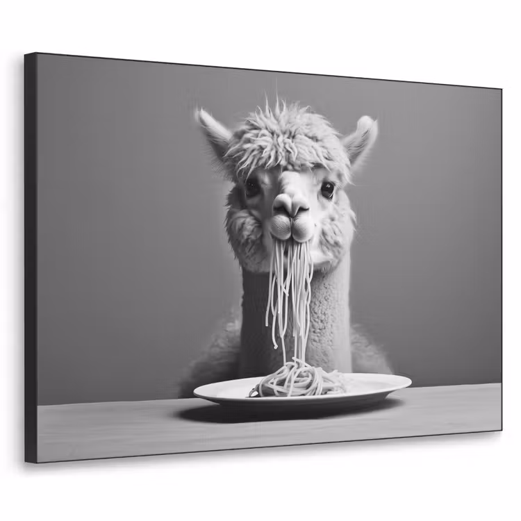 Alpaca - Pasta - Zwart - Wit - Grappig - Dieren Textielframe - compleet frame klein -3d