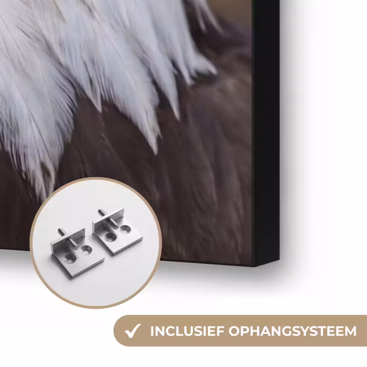 Amerikaans - Zeearend - Portret - Geel Textielframe zwart klein -USP_ophangsysteemNL