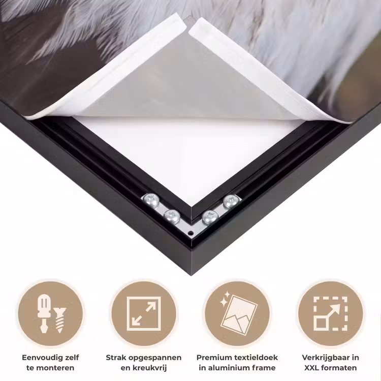 Amerikaans - Zeearend - Portret - Geel Textielframe zwart klein -USP_feed_closeupNL