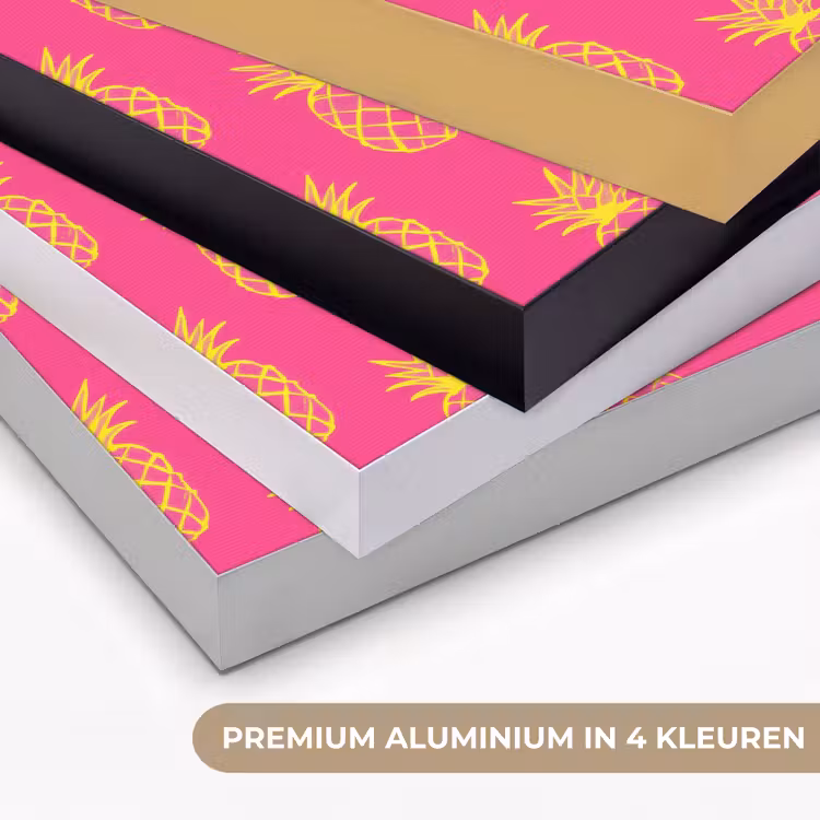 Ananas - Trendy - Roze Textielframe zwart klein 947 -USP_kleurenNL