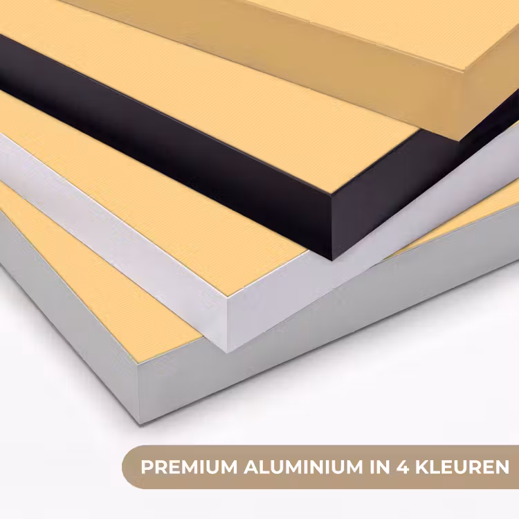 Apricot - Ice - Oranje Textielframe zwart klein 947 -USP_kleurenNL