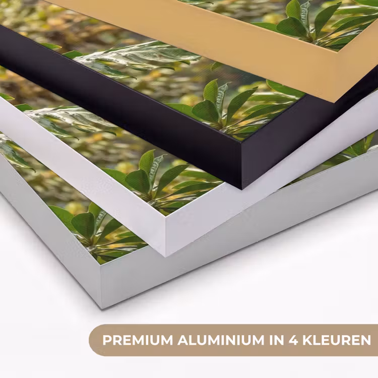 Ara - Jungle - Rood Textielframe zwart klein -USP_kleurenNL