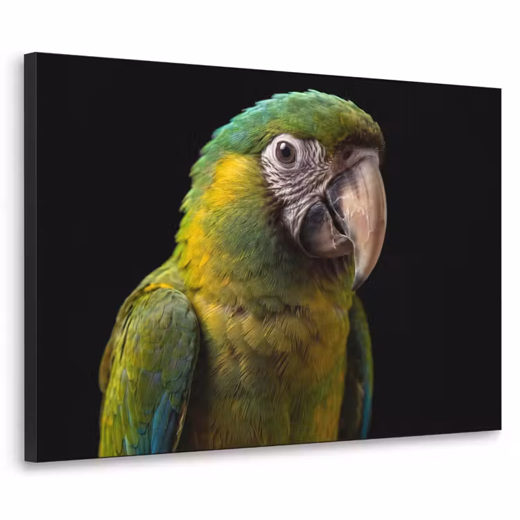 Ara - Portret - Groen Textielframe zwart klein -3d