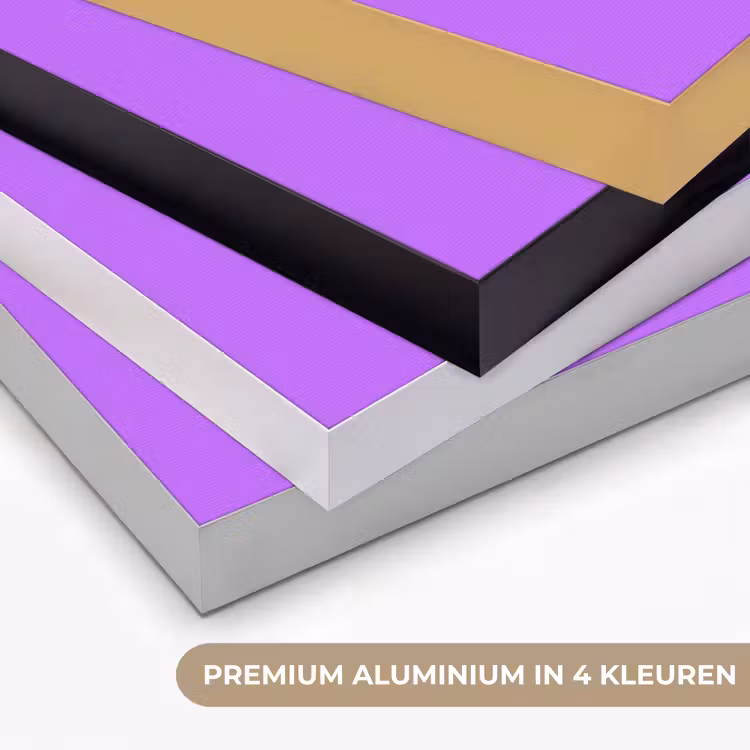 Architectuur - Colosseum - Rome - Minimalistisch - Paars Textielframe zwart klein -USP_kleurenNL