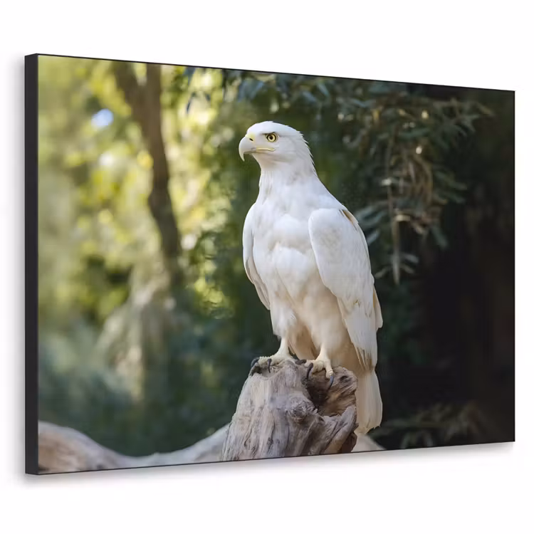 Arend - Hout - Wit - Planten Textielframe zwart klein -3d
