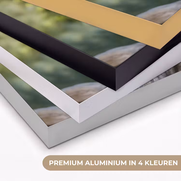 Arend - Hout - Wit - Planten Textielframe zwart klein -USP_kleurenNL