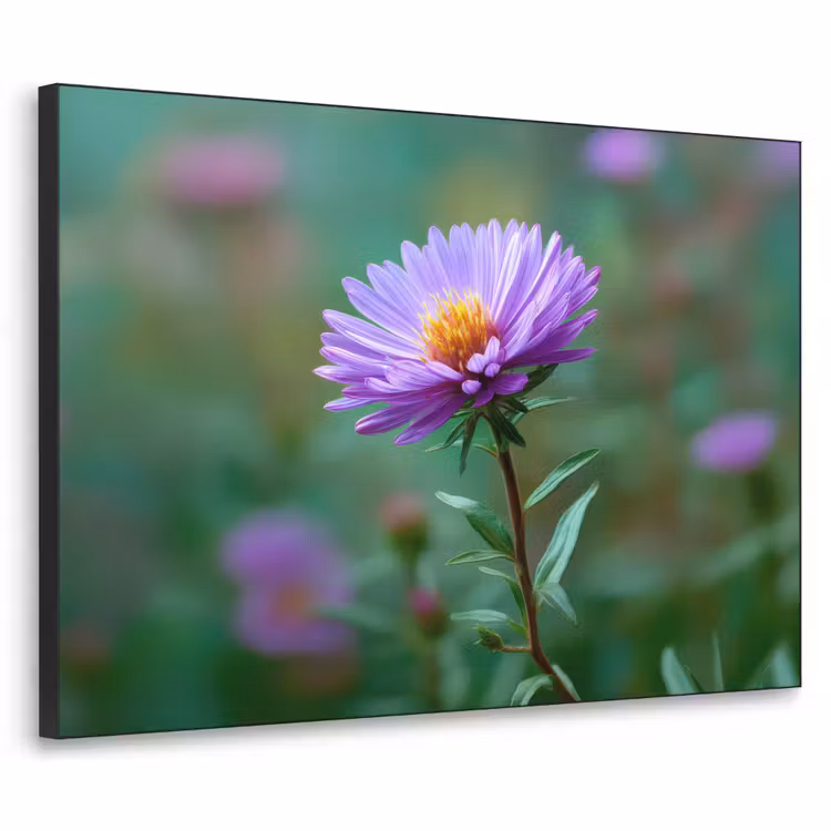 Aster - Paars - Bloem - Blaadjes Textielframe - compleet frame klein -3d