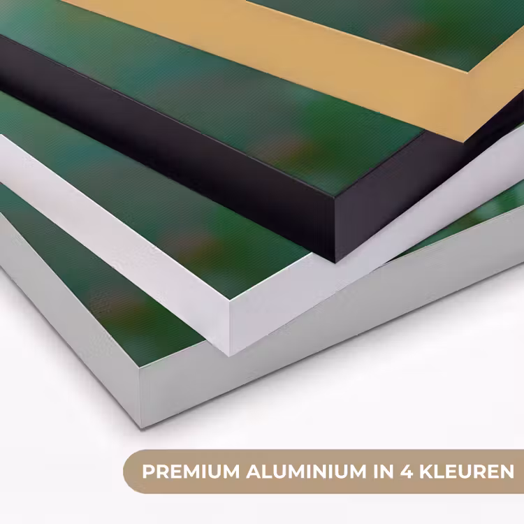 Aster - Paars - Bloem - Blaadjes Textielframe zwart klein -USP_kleurenNL
