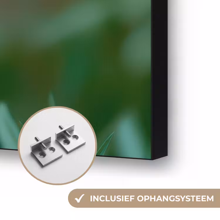 Aster - Paars - Bloem - Blaadjes Textielframe zwart klein -USP_ophangsysteemNL