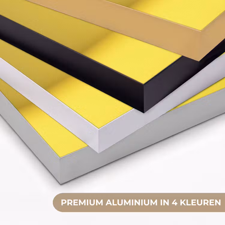 Avocado - Discobal - Geel - Glitter Textielframe zwart klein -USP_kleurenNL