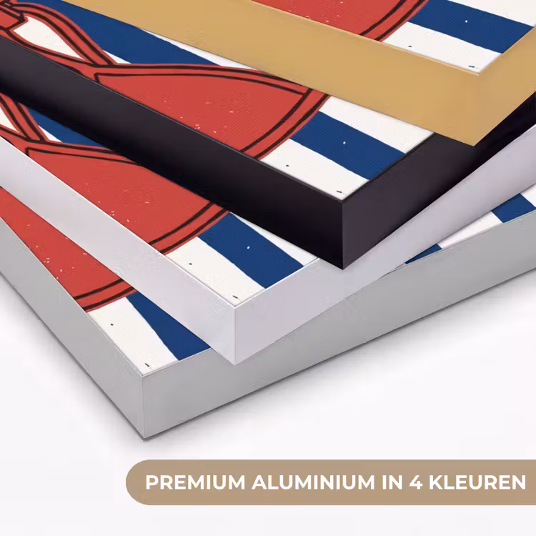 Badkleding - Waslijn - Zomer - Illustratie - Rood Textielframe zwart klein -USP_kleurenNL