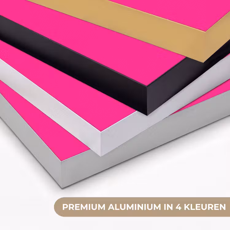 Banaan - Zebraprint - Roze Textielframe zwart klein -USP_kleurenNL
