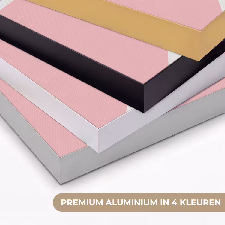 Basketbal - Pastel - Roze - BLauw Textielframe zwart klein -USP_kleurenNL