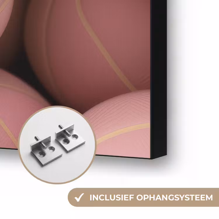 Basketballen - Roze - Quote - Sportief Textielframe zwart klein -USP_ophangsysteemNL