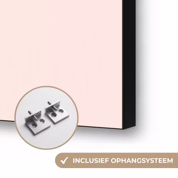 Beer - Roze - Snoep Textielframe zwart klein -USP_ophangsysteemNL
