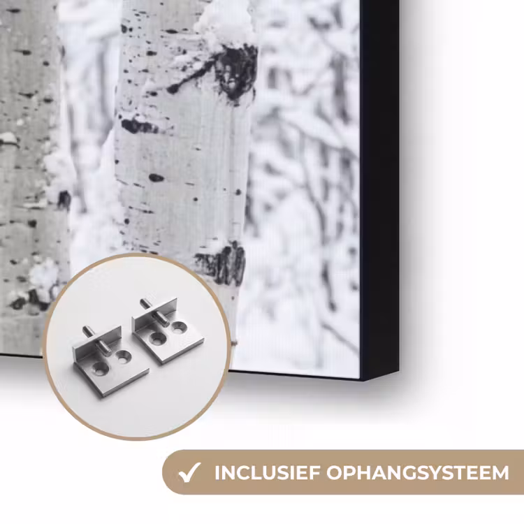 Berkenbomen - Sneeuw - Winter - Bos - Wit Textielframe zwart klein -USP_ophangsysteemNL