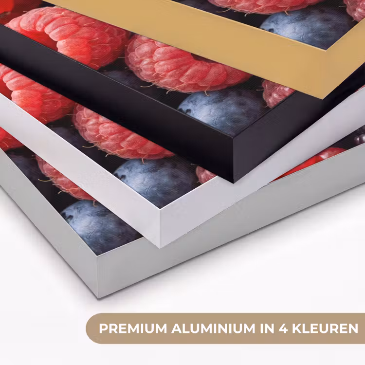 Bessen - Mix - Vers - Eten - Kleurrijk Textielframe zwart klein -USP_kleurenNL