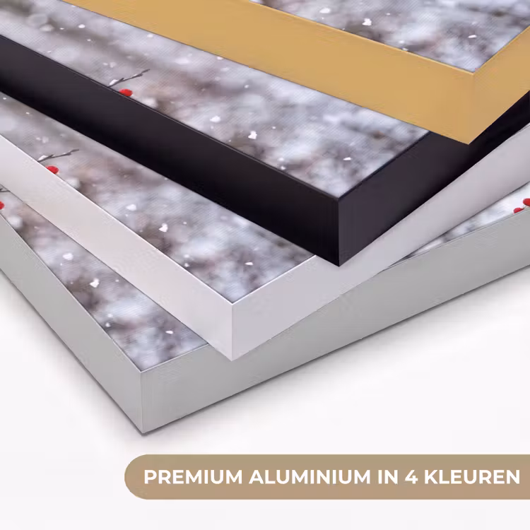 Bessen - Takken - Sneeuw - Winter - Kleurrijk Textielframe zwart klein -USP_kleurenNL