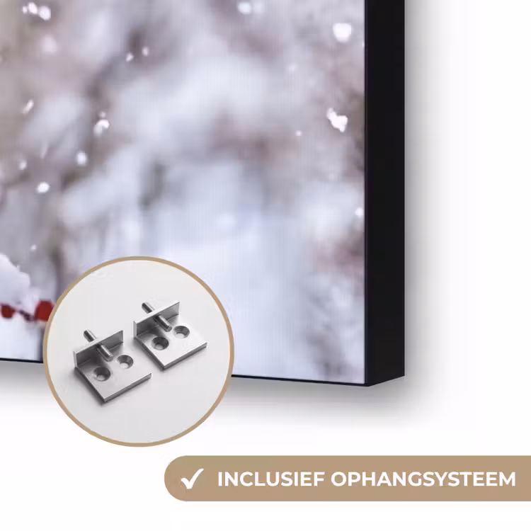 Bessen - Takken - Sneeuw - Winter - Kleurrijk Textielframe zwart klein -USP_ophangsysteemNL