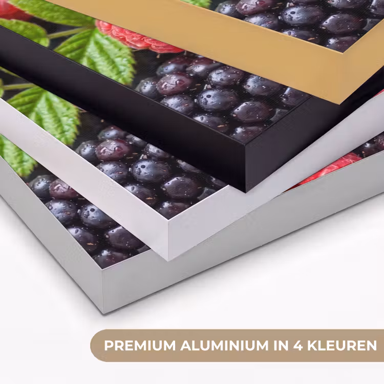 Bessen - Vers - Waterdruppels - Kleurrijk - Eten Textielframe zwart klein -USP_kleurenNL