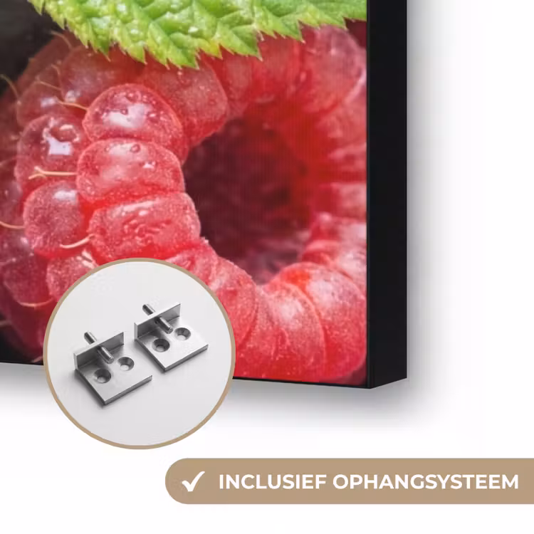Bessen - Vers - Waterdruppels - Kleurrijk - Eten Textielframe zwart klein -USP_ophangsysteemNL