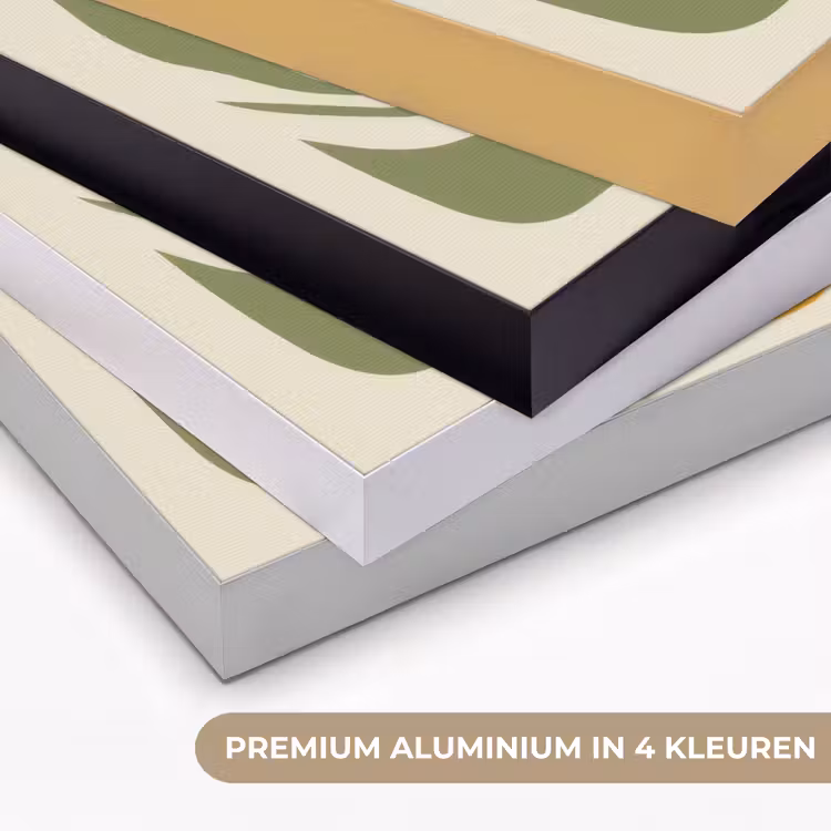 Blaadjes - Zachtoranje - Bloemen Textielframe zwart klein -USP_kleurenNL