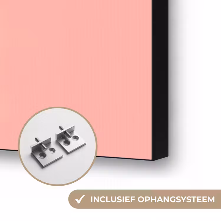 Bladeren - Geschilderd - Vlakken - Kleurrijk Textielframe zwart klein -USP_ophangsysteemNL