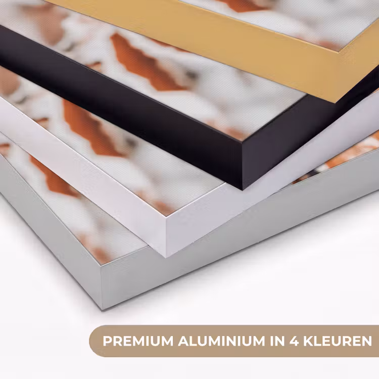 Bladeren - IJs - Winter - Natuur Textielframe zwart klein -USP_kleurenNL