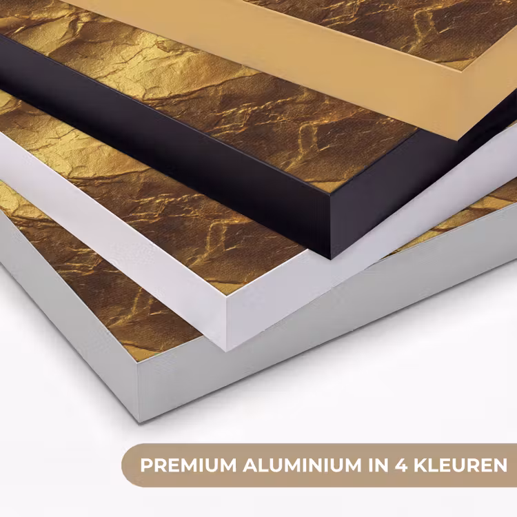 Bladgoud - Textuur  - Goud Textielframe zwart klein 947 -USP_kleurenNL