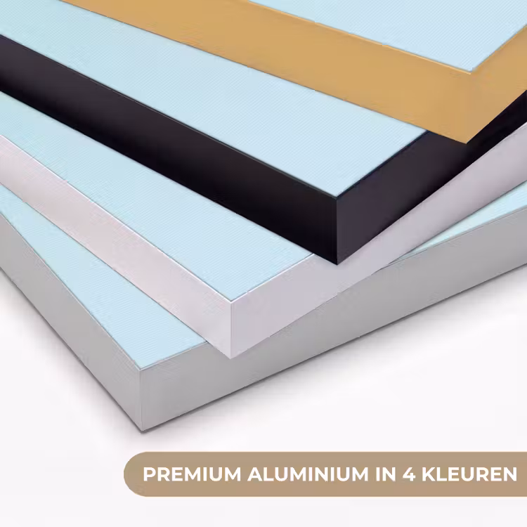 Blauw - Ananas - Disco - Discobal Textielframe zwart klein -USP_kleurenNL