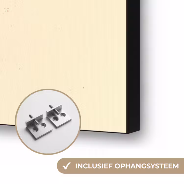 Blauw koraal - Vertakkingen - Beige Textielframe zwart klein -USP_ophangsysteemNL