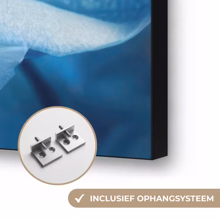 Blauw - Orchidee - Elegeant Textielframe zwart klein -USP_ophangsysteemNL